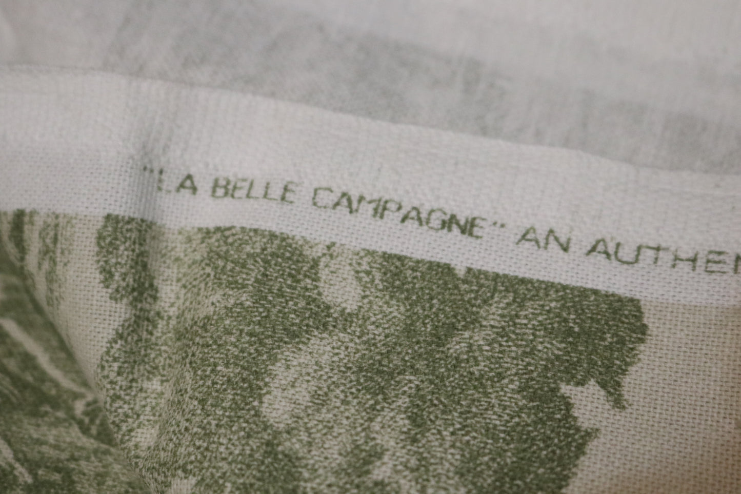 3 Yards Waverly La Belle Champagne Toile Sage Fabric  110" x 55"