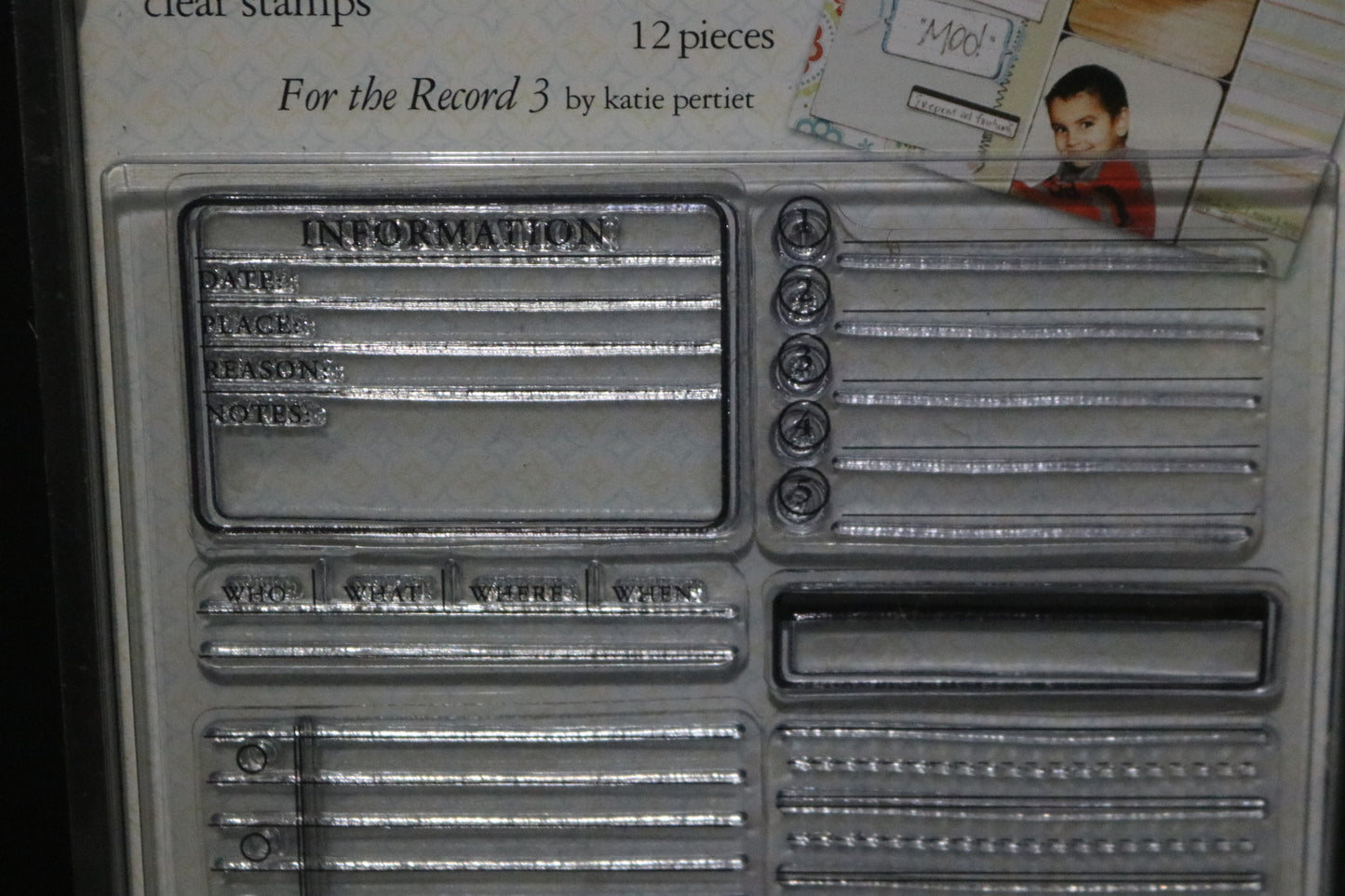 Stampology Autmumn Leaves for the Record 3 Clear Stamps by Katie Pertier - 12 Pieces